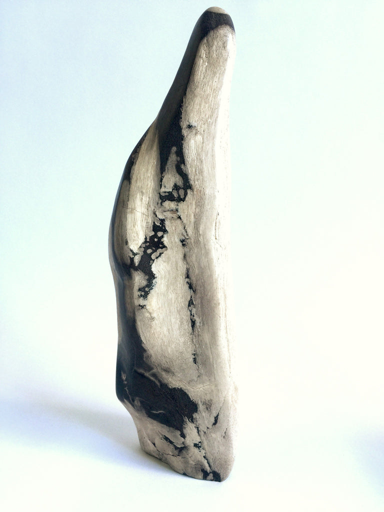 Petrified Wood Sculpture