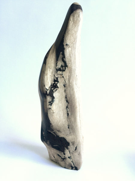Petrified Wood Sculpture